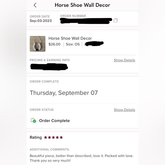 Fringe Horseshoe Wall Decor - Picture 3 of 3